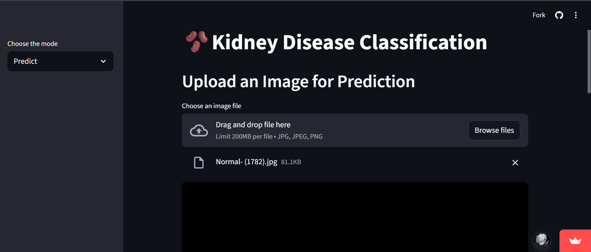 Kidney Disease Classification screenshot
